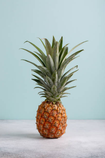 istock Whole pineapple on pastel blue background. Copy space. 1220533354