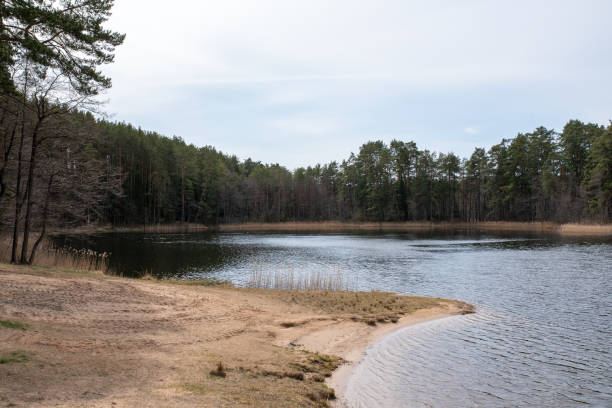 istock Quiet lake in the forest with a pier, in cloudy weather. 1220538178