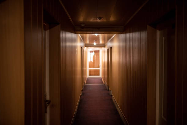 istock Corridor in a small hotel with brown walls. 1220538661