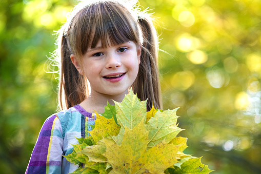 Portrait of happy pretty child girl holding a bunch of fallen tree leaves in autumn forest. Positive female kid enjoying warm day in fall park.