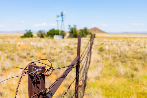istock Windmill Windpump on a farm in rural grassland area 1220543558