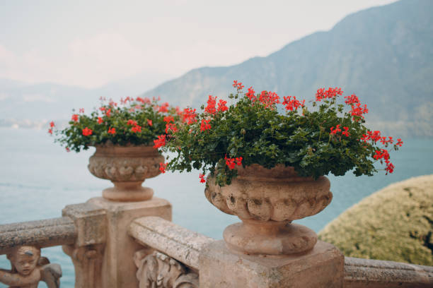 istock Como, Italy. Garden Balbianello villa. 1220549769