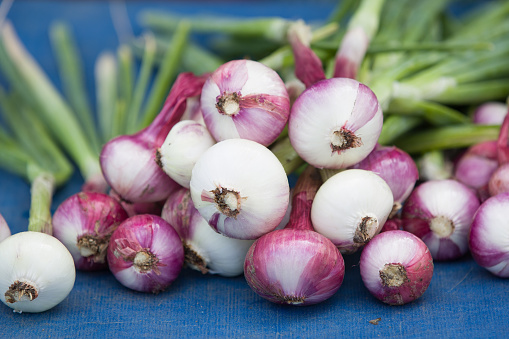 Red onions in plenty on blue background on display at local farmer's market. Closeup