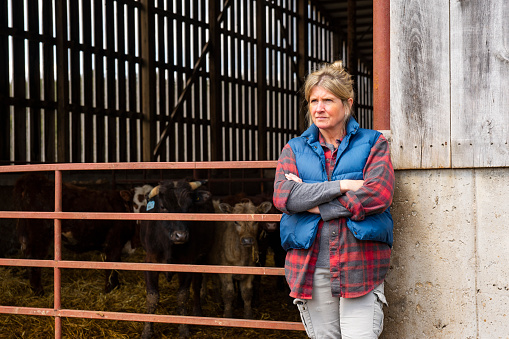 A female cattle farmer standing outside a barn with calves.  She has a slightly concerned look on her face.