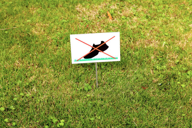 Plaque on the lawn with the image \