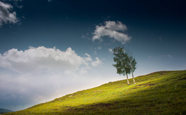istock In spring, green prairies and mountains with forests in the distance 1220557971