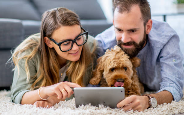 istock Young couple working from home 1220560140