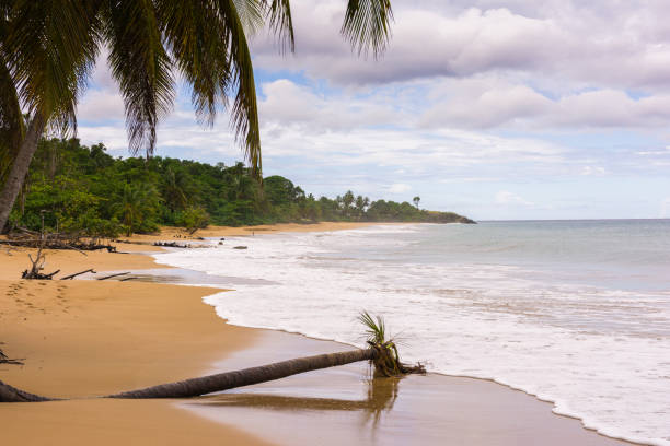 istock Grande Anse beach, Deshaies, Lower Earth, Guadeloupe 1220566341