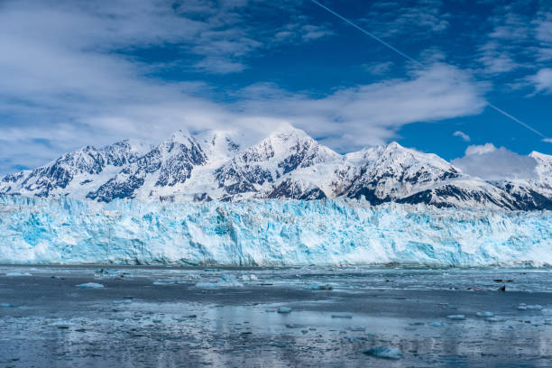 Amazing view on Hubbard Glacier. Snowy mountain peaks, wildlife, icebergs, Beautiful blue face of the glacier. This is Alaska cruise and ship was in Juneau, Ketchikan, and Skagway. seward alaska stock pictures, royalty-free photos & images