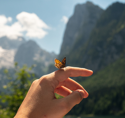 Closeup of butterfly on womans hand with mountains alps in background