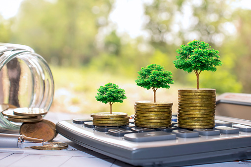 Plant trees on coins and calculators, financial accounting concepts and save money.