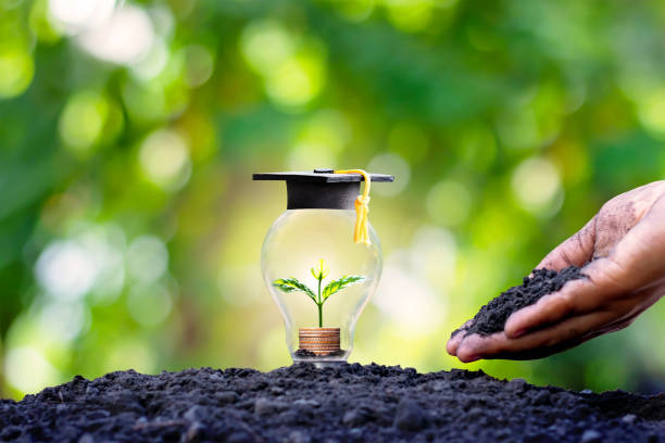 a seedling that grows on a coin in an energy-saving bulb and a graduate's hat on an energy-saving bulb, the concept of investment for education and money. - intellectual property law patent book imagens e fotografias de stock