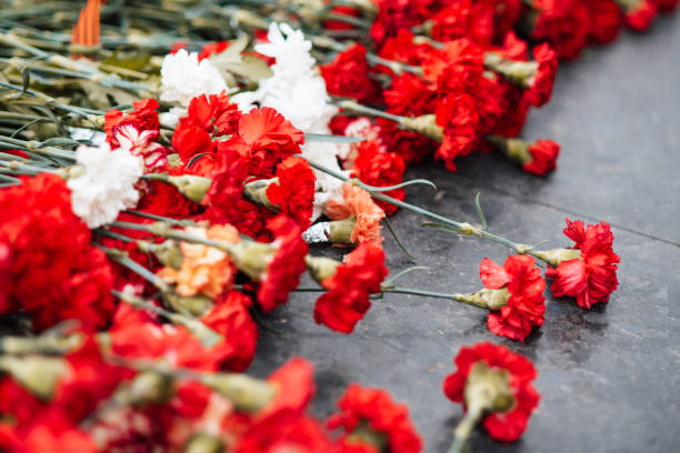 istock Red carnations lie on a marble slab 1220575710