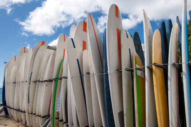 istock Surfboards waiting for surfers in Hawaii 1220577243