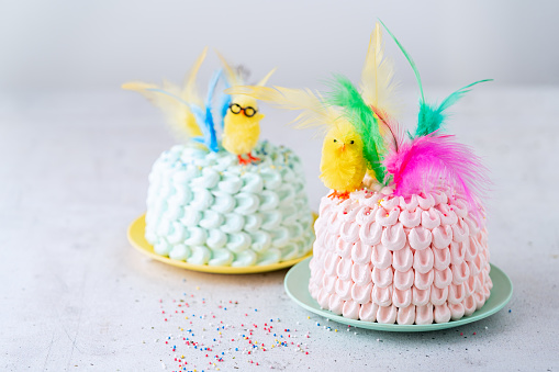 Easter cake decorated with little yellow easter chick and colorful feathers. Mona de Pascua. Spanish cuisine. Copy Space.
