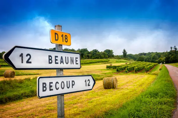 Burgundy, a panoramic road that crosses the wine region and makes us know the major producers and their vineyards.