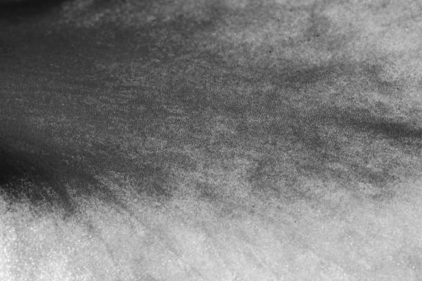 istock Abstract photo flower petal macro texture - greyscale 1220579786