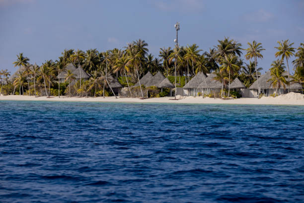 istock Summer exotic sandy beach island with palms and sea on background 1220579834