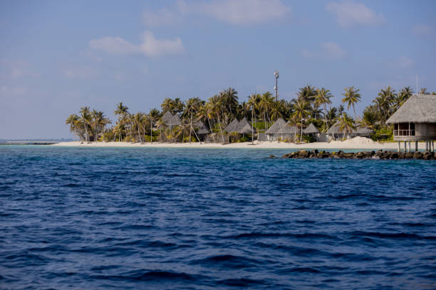 istock Summer exotic sandy beach island with palms and sea on background 1220579948