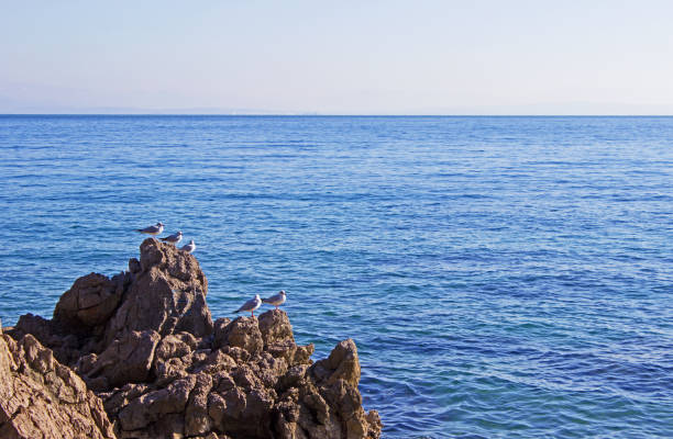 Adriatic Sea near Opatija, Croatia