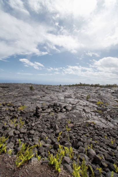 istock Vertical view of cooled lava flow 1220582611