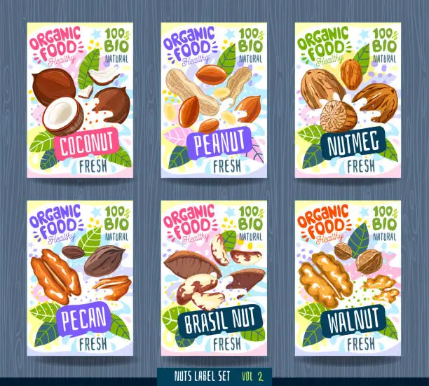 Vector illustration of Abstract splash Food label template. Nuts, herbs, fruits, spices, package design. Coconut, peanut, nutmeg, pecan, brasil nut, walnut. Vector illustration