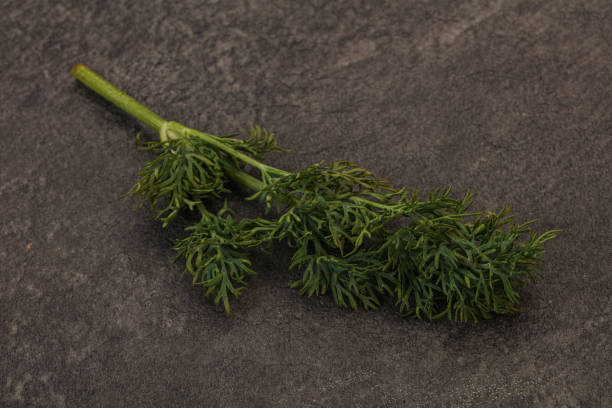 Greenery from the garden filling the entire frame, dill in macro close-up, intense background