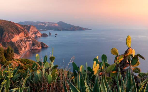 linia brzegowa z kaktusem wyspy lipari z widokiem na volcan wyspa vulcano podczas zachodu słońca, sycylia włochy"n - lipari island zdjęcia i obrazy z banku zdjęć