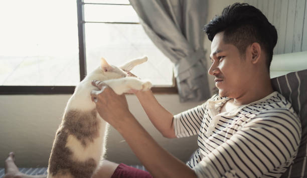 istock Asian playing with a cat at home with happiness 1220593380