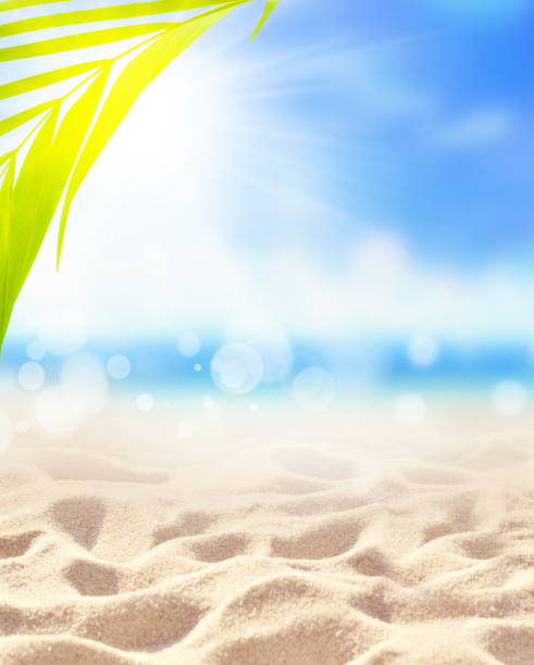 istock Summer sand beach background. Palm leaf, sea and sky. Summer concept. 1220593849