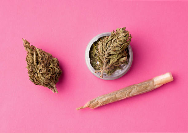 istock marijuana on a pink background next to a cigarette 1220597362