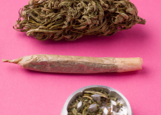 istock marijuana on a pink background close-up next to a hemp cigarette 1220597372