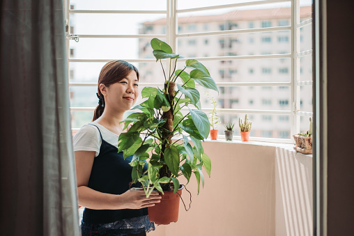 looking and holding a house plant in her hands at balcony of house