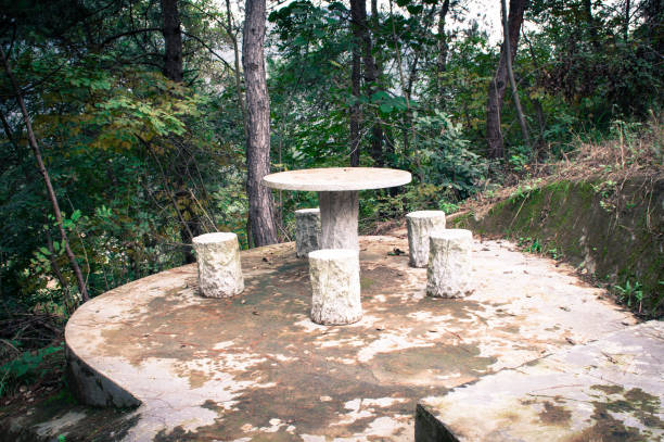 istock Stone round table in the woods. 1220599428