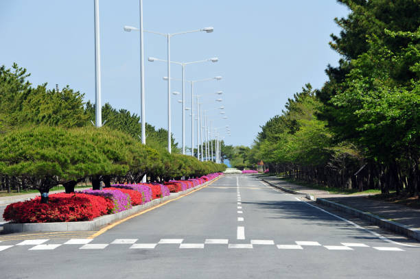 istock Spring flower bed median strip and empty road. 1220600073
