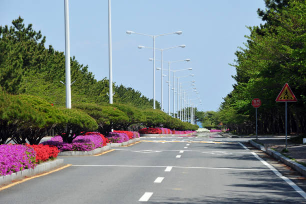 istock Spring flower bed median strip and empty road. 1220600074