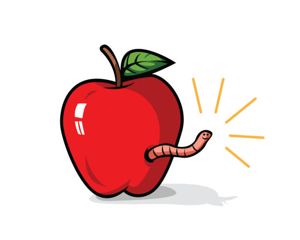 Shiny Red Apple With A Worm Coming Out Of It Isolated On White Stock  Illustration - Download Image Now - iStock