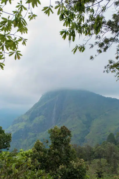 Photo of Mountain landscape, green slopes. Beauty of mountains. Little Adam peak, mountain in the fog view from the jungle.