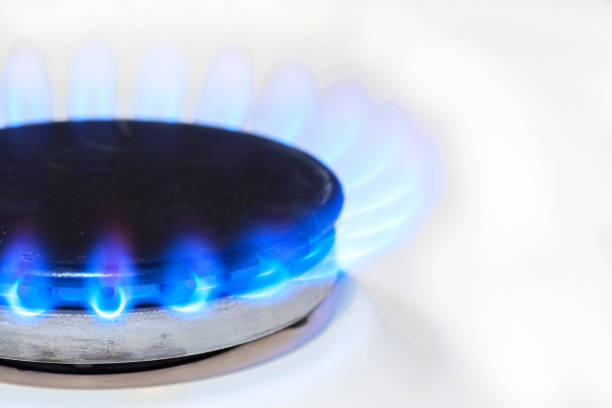 gas burns in the white gas stove burner. - blue flame natural gas fireplace imagens e fotografias de stock