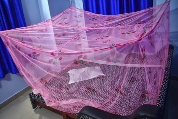 moskitonetz im zimmer. kopfschutz vor beißenden insekten bei einer wanderung in den wäldern oder wäldern in indien. - mosquito netting stock-fotos und bilder