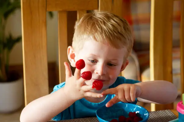 A young happy Caucasian boy sits in the kitchen counting raspberries on his fingers.