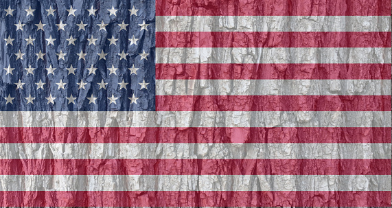 USA flag on crust texture background. Background for postcards to the Day of Remembrance and Independence Day.