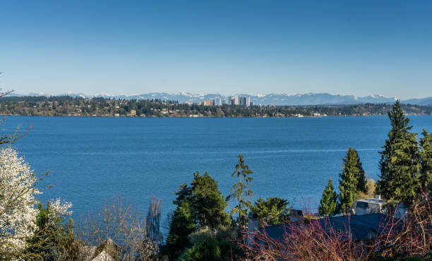 istock Scenic Lake Washington 3 1220616923