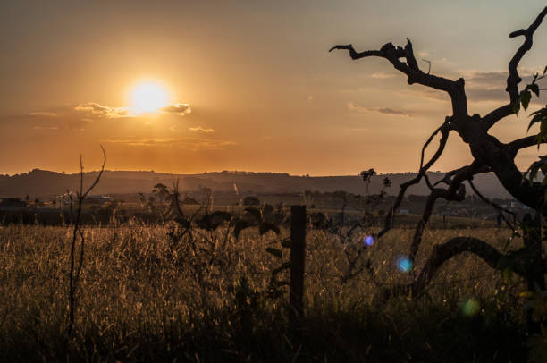 istock Sunset at the Farm 1220618950