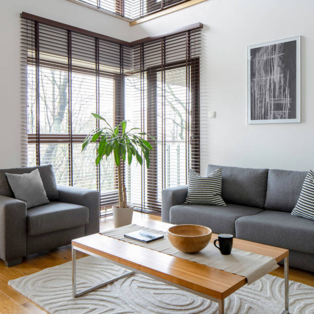 Stylish living room with gray furniture Stylish living room with gray furniture and big windows with blinds mal stock pictures, royalty-free photos & images