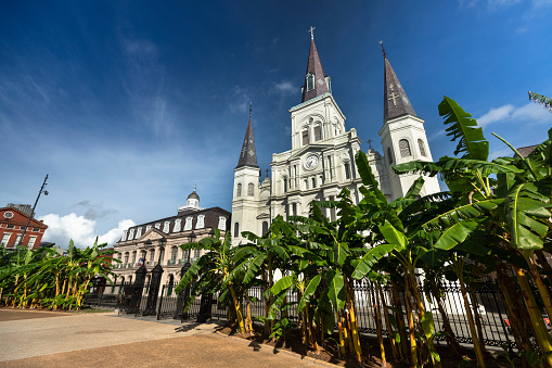 Historic St. Louis Cathedral across Jackson Square in New Orleans Louisiana USA