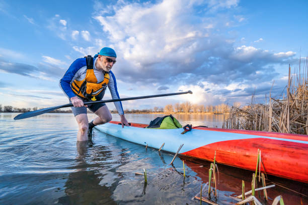 solo senior male stand up paddler senior male paddler with his stand up paddleboard on a shore of calm lake, solo paddling as fitness and training with social distancing paddleboard surfing water sport low angle view stock pictures, royalty-free photos & images