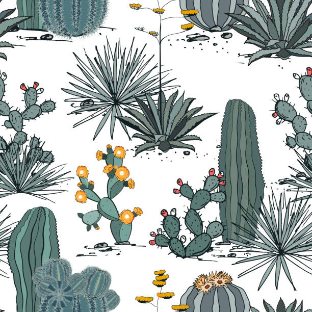 illustrations, cliparts, dessins animés et icônes de motif sans couture avec des plantes de cactus, de l’agave bleu et de la figue de barbarie. parfait pour votre projet, mariage, carte de vœux, photos, blogs, papier peint, textile, texture et plus encore. - prickly pear fruit illustrations