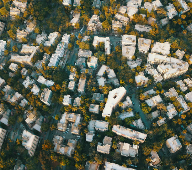 istock Aerial View Buildings with Trees 1220627642