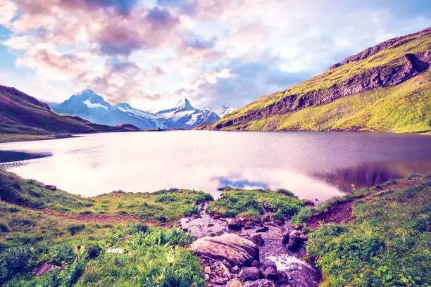 Fantastic landscape at sunrise with stones in the foreground on the lake in the Swiss Alps. Wetterhorn, Schreckhorn, Finsteraarhorn et Bachsee. Exciting places. (relaxation, harmony - concept).